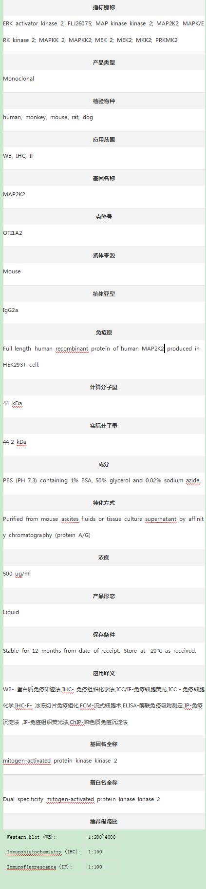 Anti-MEK2/MAP2K2 Antibody (Clo