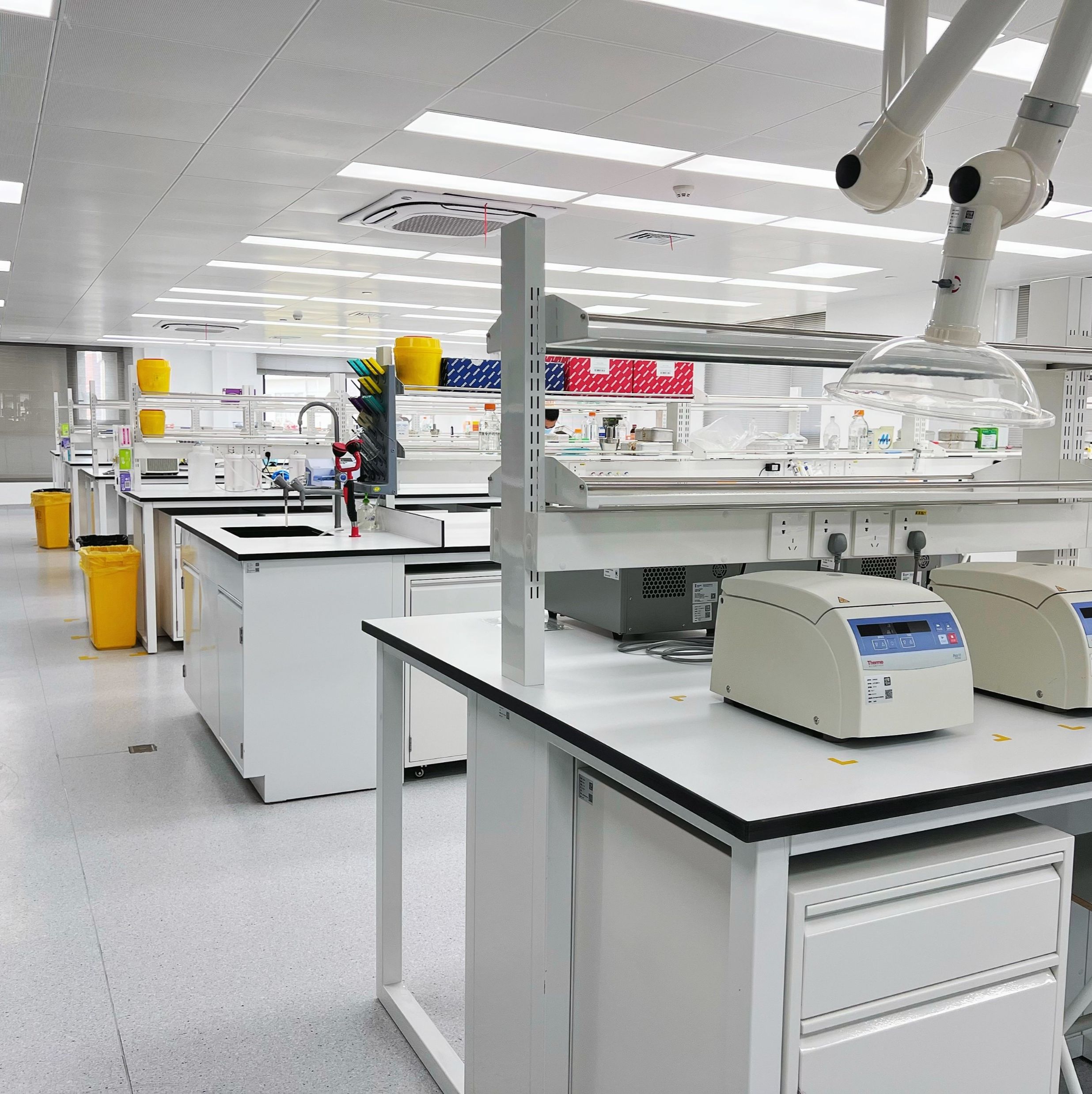 SPF级动物房出租