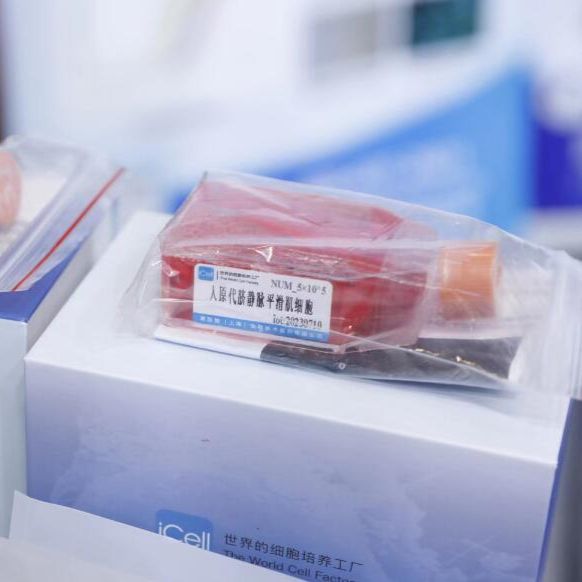 KYSE-450、KYSE-450细胞、KYSE450细胞、KYSE450、人食管鳞状细胞癌/STR鉴定