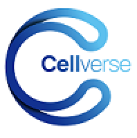 8305C细胞、8305-C细胞、8305-C、8305C、人甲状腺癌细胞（未分化）/STR鉴定