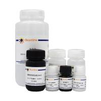 多能干细胞免疫荧光检测试剂盒(Nanog, 兔抗, 红色荧光)