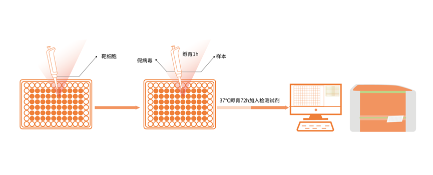 全面解析HPV感染、促癌机制及HPV疫苗如何做有效验证?