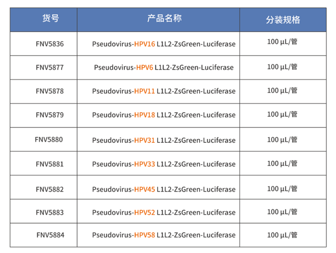 全面解析HPV感染、促癌机制及HPV疫苗如何做有效验证？