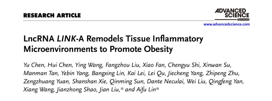 Adv Sci丨浙大团队揭示了lncRNA LINK-A在重塑组织炎症微环境以促进肥胖中的作用