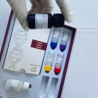 笃玛 原百部碱 产品信息