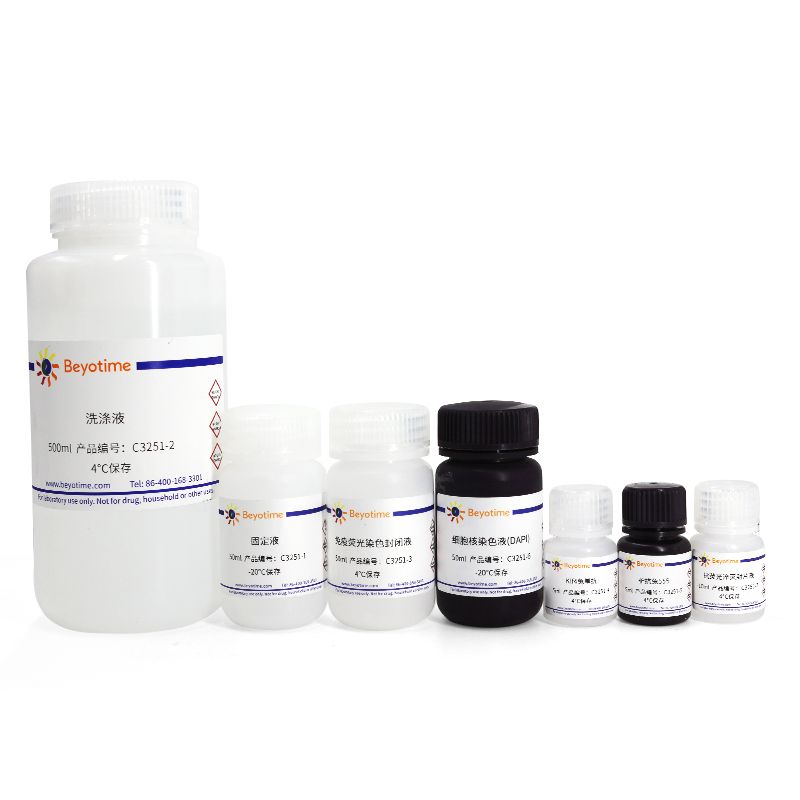多能干细胞免疫荧光检测试剂盒(Klf4, 兔抗, 红色荧光)