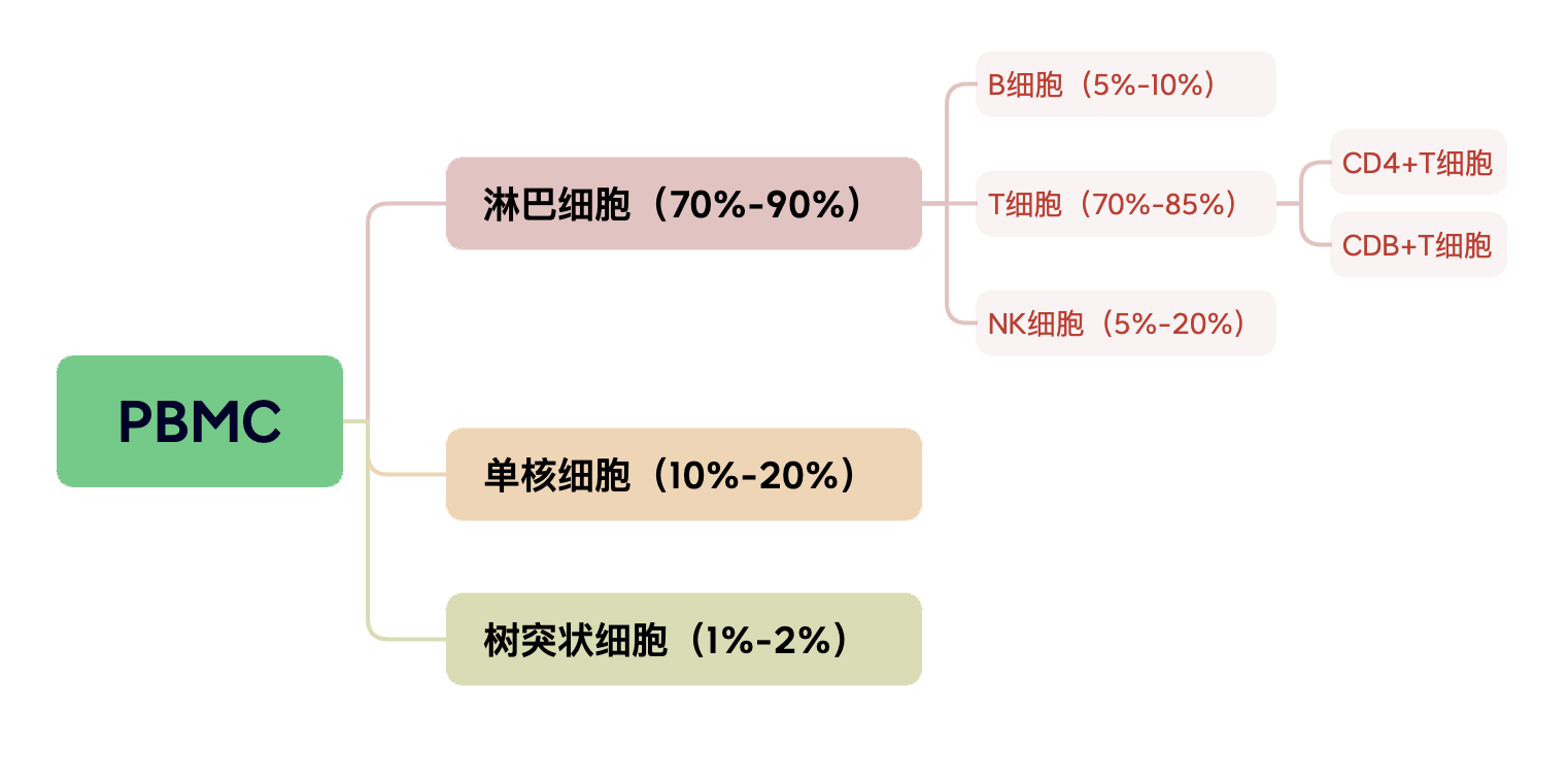 PBMC在免疫治疗药物研发中的应用