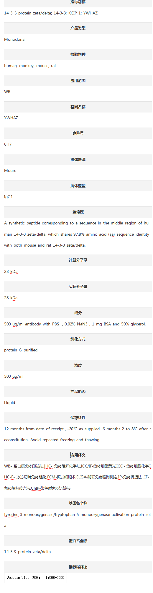 Anti-YWHAZ Antibody (Clone#6H7