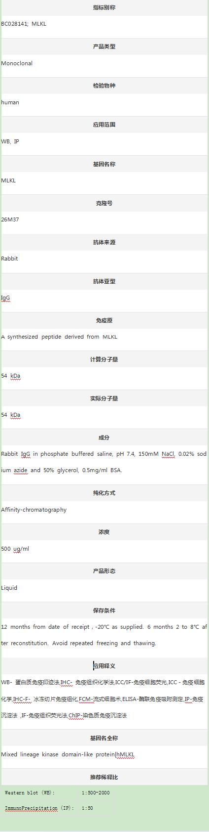 Anti-MLKL Antibody (Clone#26M3