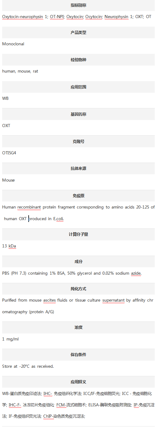Anti-Neurophysin I/OXT Antibod