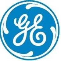 GE-IMMOBILINE DRYSTRIPPH3-10 13CM