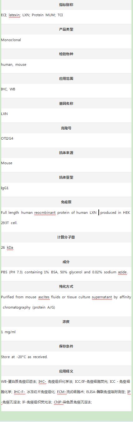 Anti-LXN Antibody (Clone#OTI2G