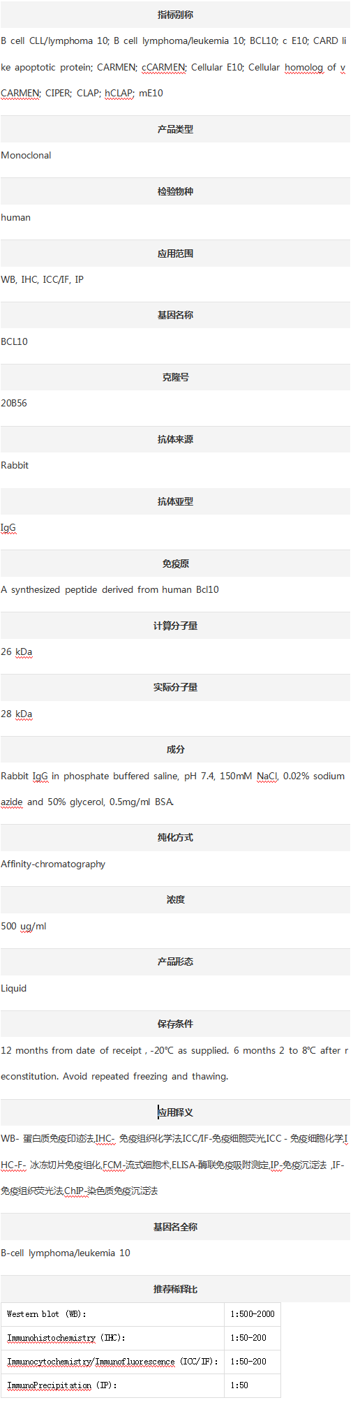Anti-BCL10 Antibody (Clone#20B