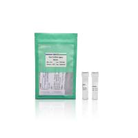 麦伯 M633 Fast T4 DNA Ligase