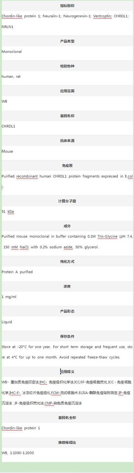 Anti-CHRDL1 Antibody