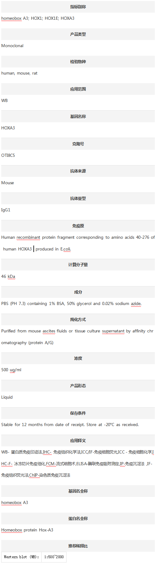 Anti-HOXA3 Antibody (Clone#OTI