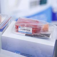 人Ⅱ型肺泡上皮细胞永生化/STR鉴定