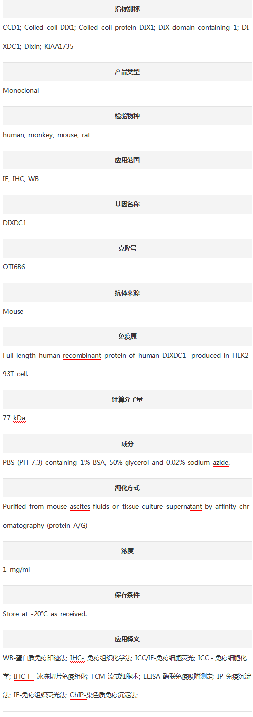 Anti-DIXDC1 Antibody (Clone#OT