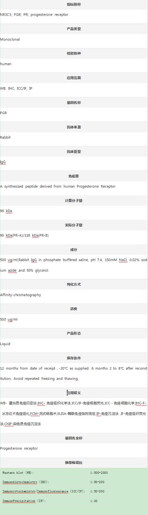 Anti-PR/PGR Antibody