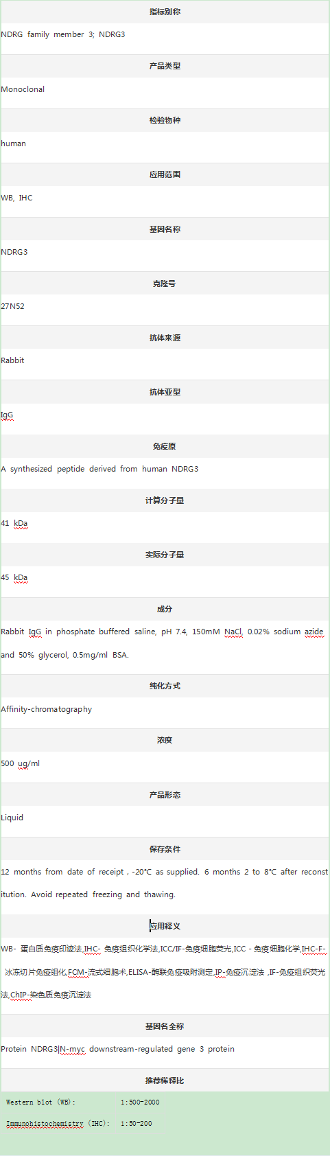 Anti-NDRG3 Antibody (Clone#27N