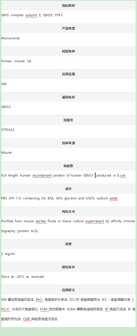 Anti-GINS3 Antibody (Clone#OTI