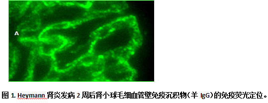 新闻图片2