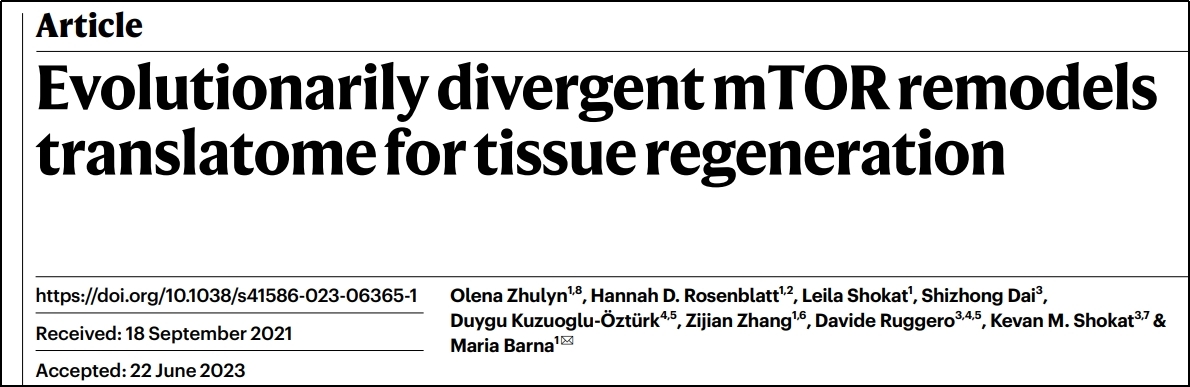 Nature. | 组织再生研究中Polysome profiling的应用