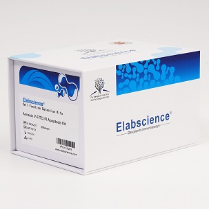 一步法TUNEL原位细胞凋亡检测试剂盒（红色，Elab Fluor® 594）_货号:E-CK-A322