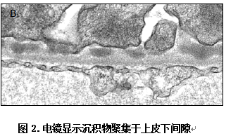 新闻图片3