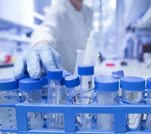 石蜡切片与冰冻切片在实验中的区别