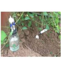 RES Kit 根分泌物收集装置