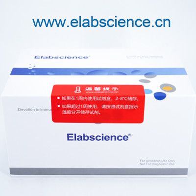 碱性磷酸酶(ALP)比色法测试盒_货号:E-BC-K091-M