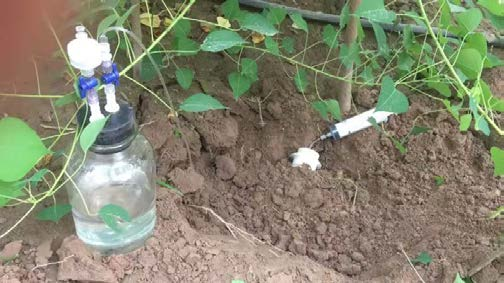 RES Kit 根分泌物收集装置