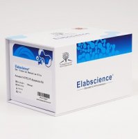 Caspase 3/7活性检测试剂盒(分光光度法)_货号:E-CK-A383