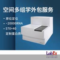 乐备实DSP空间多组学外包服务，实验外包，原位RNA和蛋白质定位