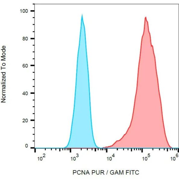 Anti-PCNA Antibody [PC10]  - Identical to Abcam (ab29) (A86878)