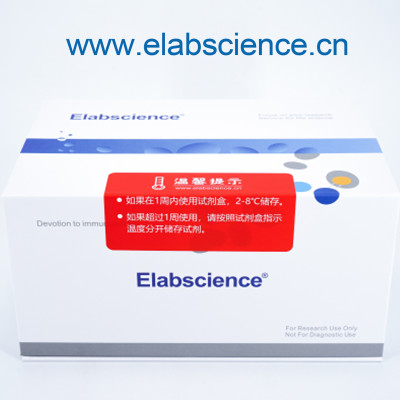肌酐(Cr)比色法测试盒(肌氨酸氧化酶法)_货号:E-BC-K188-M