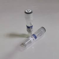 DNase I，RNase-free