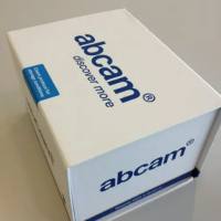 Goat Anti-Mouse IgG H&L (HRP)(ab205719)