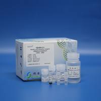 动物组织总RNA提取试剂（磁珠法）