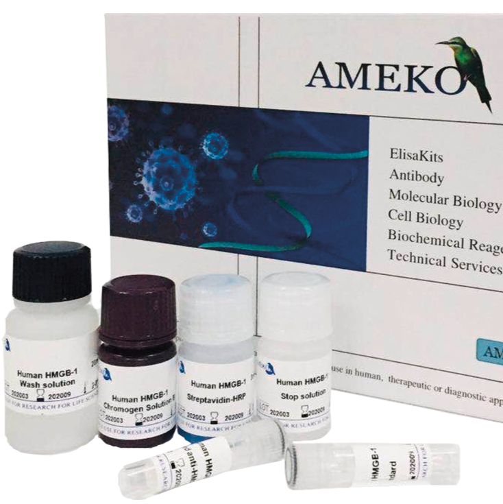 货号：AE91430Rb  AMEKO  兔血小板内皮细胞黏附因子(PECAM-1/sCD31)ELISA Kit
