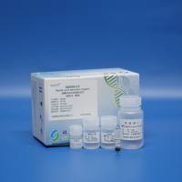 真菌DNA/RNA提取试剂（磁珠法）