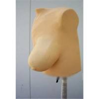 RS-750A美国RSD 乳腺摄影模体