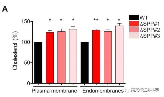 细胞膜脂质组学研究,做对这步很关键!
