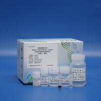 多糖多酚植物DNA提取试剂（磁珠法）