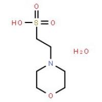 2-(N-吗啉)乙磺酸一水物