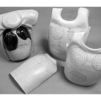 RS-500美国RSD劳伦斯利弗莫尔现实模体