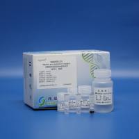 动物组织基因组DNA提取试剂（磁珠法）