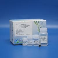 血块基因组DNA提取试剂(磁珠法)