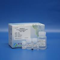 多糖多酚植物总RNA提取试剂(磁珠法)